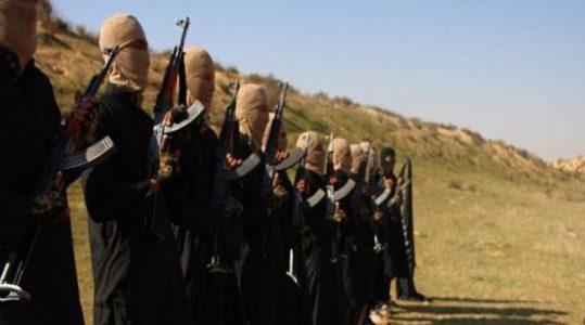 Army tightens noose on ISIS terrorists in al-Safa hills in Sweida desert