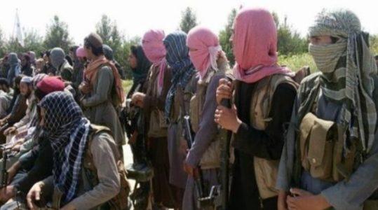 At least 30 Taliban and ISIS terrorists surrender in Nangarhar
