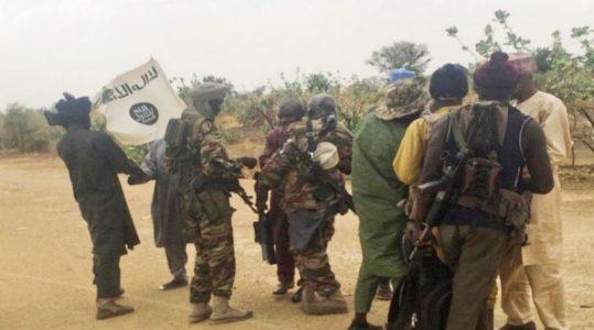 Boko Haram terrorists abduct ten women in Borno