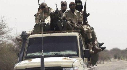 Boko Haram terrorists overrun Rann near Nigeria border with Cameroon