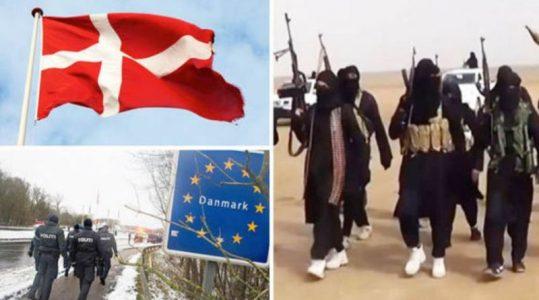 Danish ISIS supporter deprived of citizenship and expelled to Tunisia
