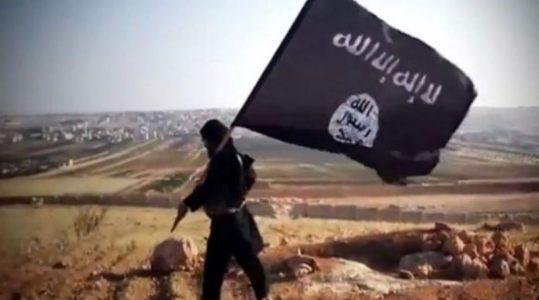 Dutch intelligence: ISIS terrorist group uses Turkey as strategic base to reorganize