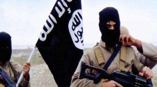 ISIS calls on sympathizers to use whatever weapons for terror attacks