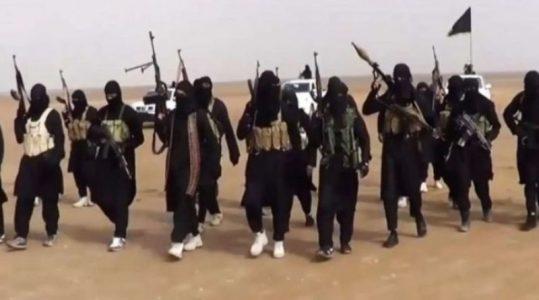 ISIS senior member and two terrorists killed in Diyala