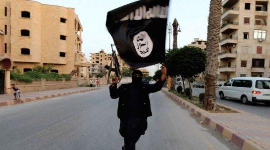 ISIS terrorist group is gearing up for comeback in Syria and beyond