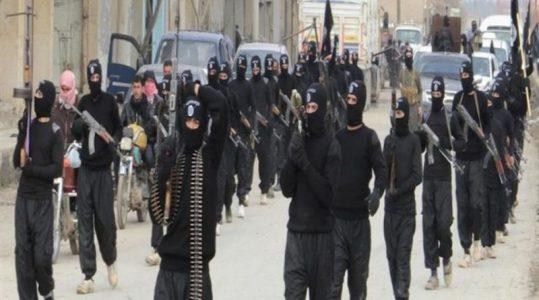 ISIS terrorists executed over 3,000 people in Syria