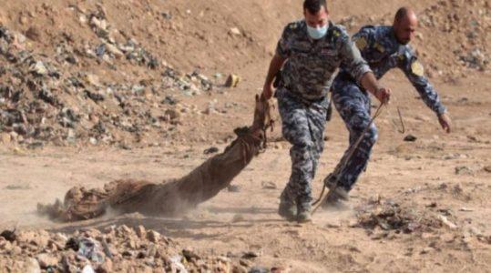 New ISIS mass grave found in Iraq’s Babil