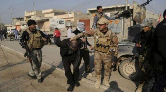 Sixteen Islamic State terrorists arrested in operation south of Mosul