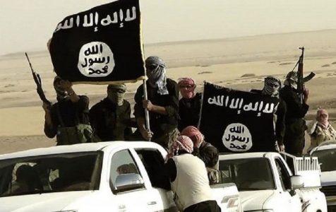 Danish ISIS terrorist arrested in Turkey