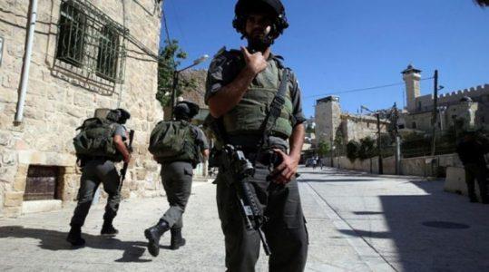 Security forces arrest 7 terror suspects in West Bank