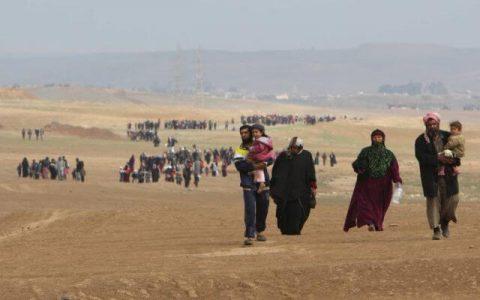 Iraqi forces find grave holding some 600 Shiite inmates executed by Islamic State terrorists