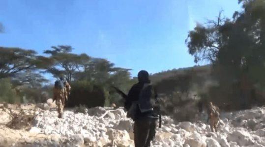 Is Somalia losing the war against the terrorist group al-Shabaab?
