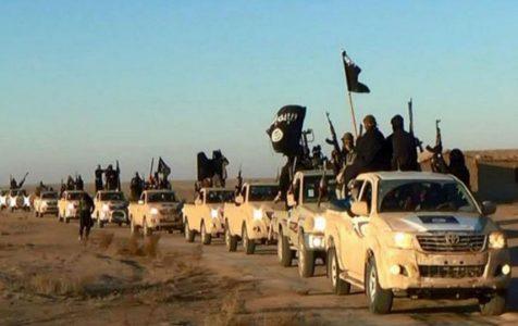 Islamic State terrorist numbers increase in Syria