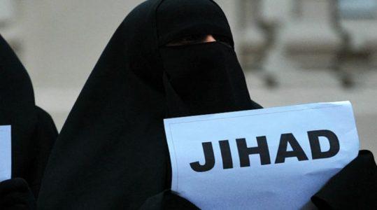 Jihadi bride asks to return to Europe as the Islamic State caliphate crumbles