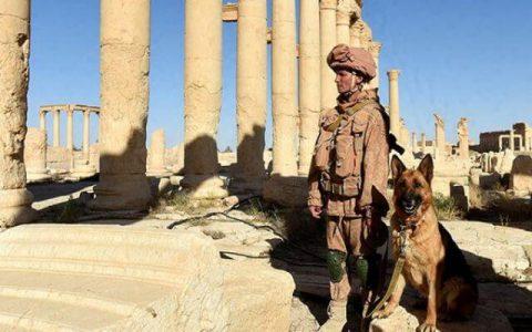 Russian soldier killed by ISIS in attack near Syria’s city of Palmyra