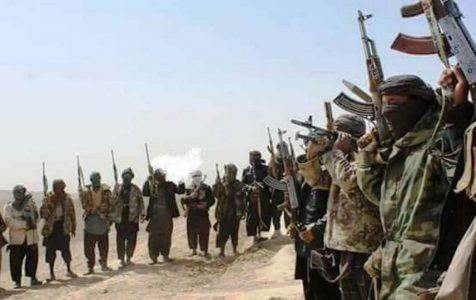 Several ISIS militants surrender to ALP forces in Jawzjan province