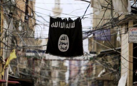 Sweden dumbfounded by ISIS widows with children