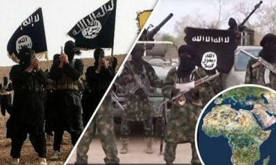 ISIS terrorists claim responsibility for death of Nigerian soldiers in Damaturu