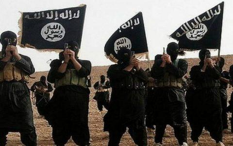 Indian Government: ISIS attracted youth children from India