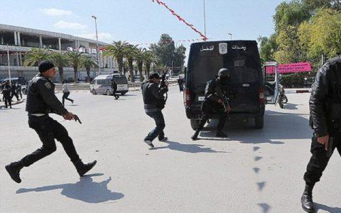 Tunisian Security Forces founded funds and missiles belonging to ISIS militants