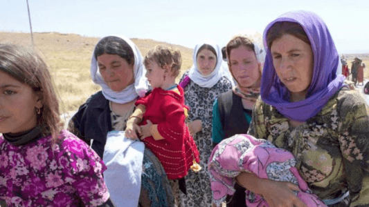 Seven Yezidis freed from ISIS captivity in Iraq and Syria