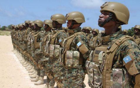 Somali army forces foil major terror attack in southern region