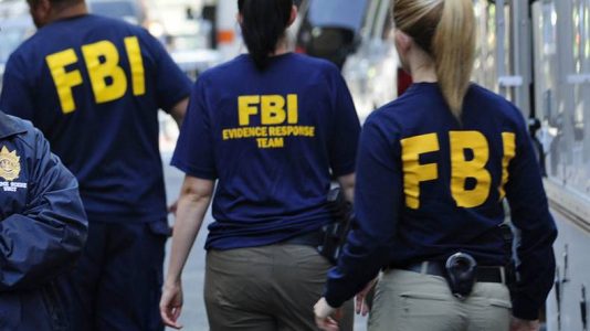 FBI is investigating 850 cases of potential domestic terrorism