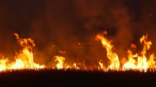 ISIS ambushes villagers after setting fire to crops in disputed Kirkuk town