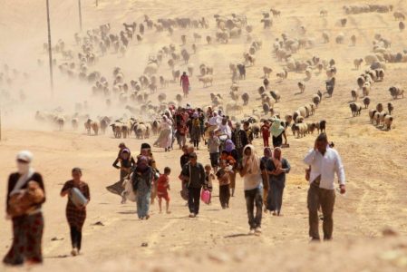 Islamic State crimes against Yazidis constitute genocide
