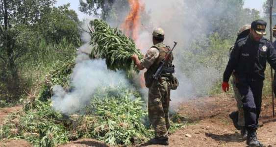PKK terror group reaps benefits of drug trade drug abuse