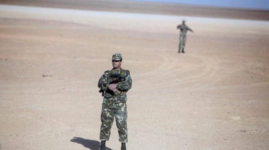 Algerian authorities seize terrorist weapons and destroyed explosives workshops