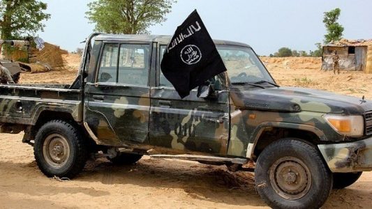 Islamic State terrorists execute aid worker abducted in Nigeria