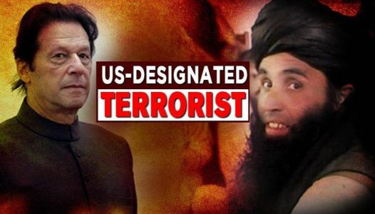 Pakistani Taliban chief designated as global terrorist by the U.S President Trump
