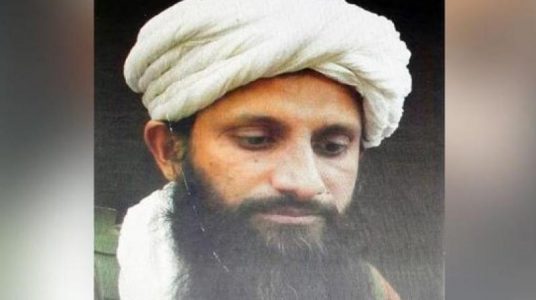 South Asia Qaeda chief and India-born terrorist killed on joint US-Afghan raids