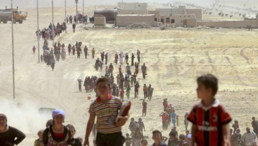 Western Islamc State terror recruits responsible for majority of Yazidi genocide crimes