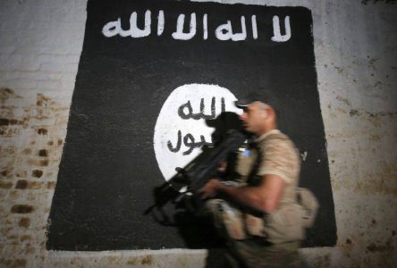 Islamic State’s revival is back and will rise