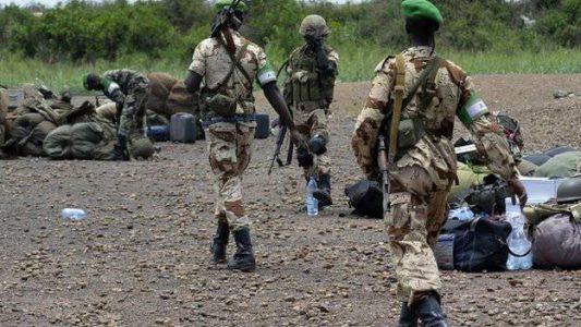 Chadian army killed more than 300 terrorists