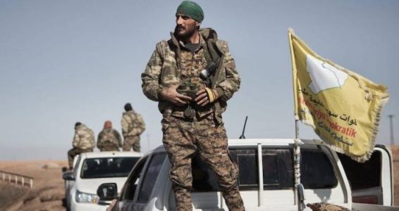 Syrian Democratic Forces captured eleven Islamic State terrorists