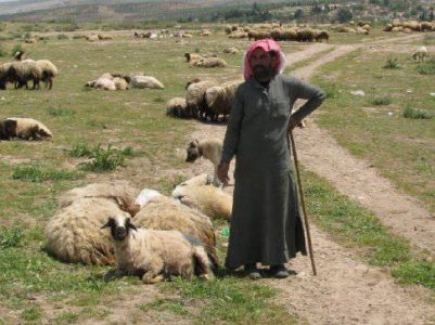 Two Kurdish shepherds rescued from Islamic State captivity
