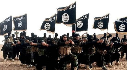 Islamic State calls on God to increase the coronavirus torment of non-believers