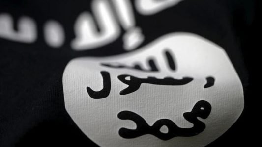 Islamic State terrorist group seeks to profit from the coronavirus pandemic