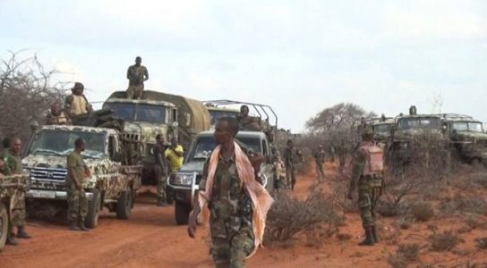 Somalian army detained senior al-Shabaab terrorist
