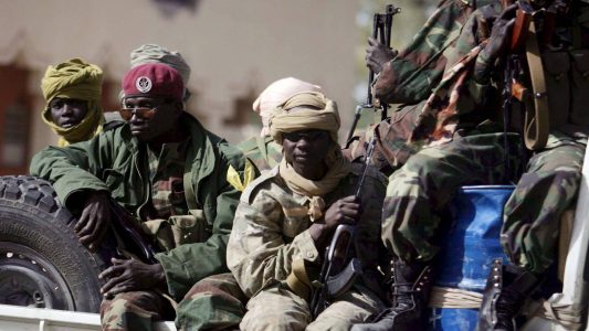 Ten terrorists killed in Cameroon anti-terrorism operation