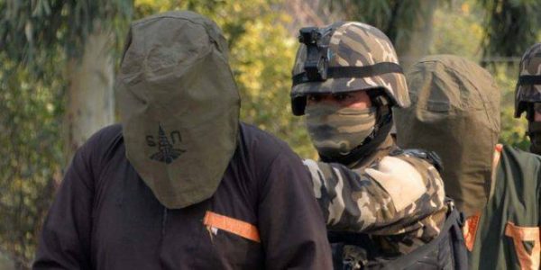 Eight Islamic State supporters detained in Nangarhar