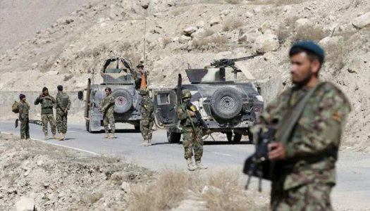 Pakistani security forces killed seven terrorists near Afghanistan