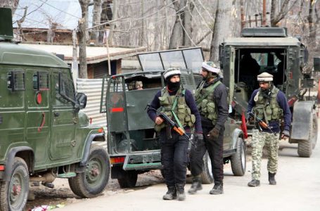 Al-Badr commander Zeenat-ul-Islam killed in encounter in Kulgam