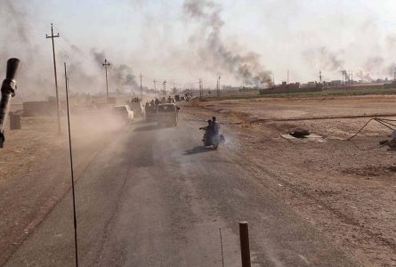 Three Islamic State terrorists killed in an air strike near Diyala
