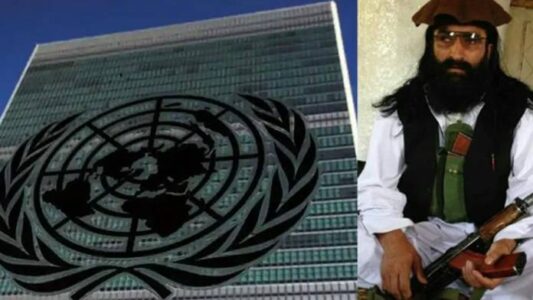 The UN blacklists Tehrik-e-Taliban Pakistan’s leader Noor Wali Mehsud