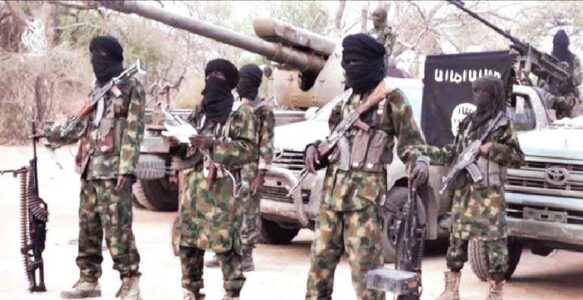 Boko Haram terrorists killed several soldiers during attack on Borno community