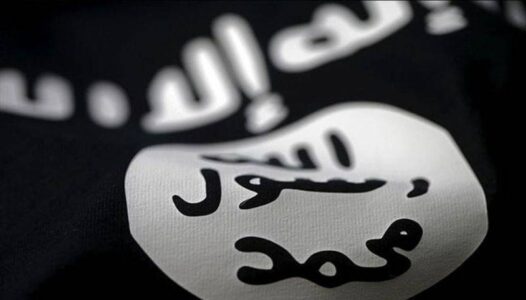 Man from Texas pleads guilty to joining the Islamic State terrorist group in Syria